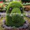 Artificial plastic hedge topiary grass animal for landscape