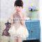 The new model summer princess children lace dress patterns kids frock designs baby girls party dresses 2-7years old