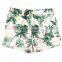 Baby Costume Baby Shorts