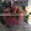 Superb Raccoon Pom Poms Colored Decorative Balls Faux Rabbit Fur Fluffy Pompom Ball