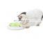Interactive IQ Training Box Electronic Cat Maze Toy
