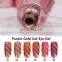 Queen Shining UV Gold Gloss Cat Eye color gel set private label cat eyes gel nail polish
