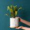 Marbled White And Gold Nordic Ins Style Breathable Succulent Tray Ceramic Vase For Home Gardening