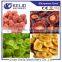 New Product Industrial Fruit and Vegetable Dehydrators