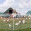 professional production plastic net plastic flat mesh PVC net low price