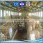 china supplier steel structure cattle cow farm pig shed building