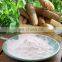 BEST PRICE  AND HIGH QUALITY  ARROWROOT POWDER/ MANIOC FLOUR ORGANIC FROM VIET NAM
