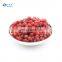 Organic Wild Red IQF Frozen Lingonberry