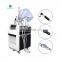 Sales multifonction 10 in 1 facial rejuvenation skin spa system machine