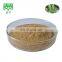 10YEAR factory , Tea Polyphenol, EGCG ,green tea extract powder