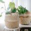 ZigZag White Seagrass Belly Basket Eco Friendly Straw Plant Holder Storage Basket Decor Home High Quality