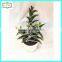 25cm high quality real touch artificial cactus plants