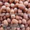 NEW CROP RED SKIN PEANUTS KERNEL/GROUNDNUTS