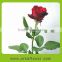New Cut Fresh Cut Flower Rose for Home Decoration