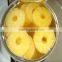 Canned Pineapple, Pineapple in Syrup,slice/chunk/pieces
