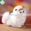 Latest Cute Super Soft Cat Plush Toys for Kids