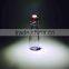 250ml high quality clear empty glass cooking olive oil bottle with swing top lid
