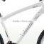 LionHero 26" V brake mtb bike bicycle