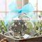 Wedding decoration, home decoration items, birthday decoration items