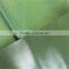 Soft 150D 140T polyester coated TPU fabric/TPU Coated pongee fabric