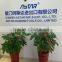 Xiamen Astar Imp. & Exp. Co., Ltd.