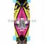 Hot sell in wheel hub motor high quality electric board long deck motorised skate boards