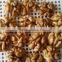 Supply Chinese walnut kernels light halves with good auality for sale                        
                                                Quality Choice