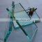 Clear Float Glass with high quality