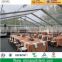 High Strength Durable Aluminum Structure Greenhouse Canopy Tent For Sale