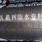 Professional sbs app waterproof membrane