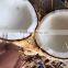SEMI HUSKED COCONUT _ QQ : 2290755420