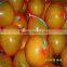 Fresh Pomelo
