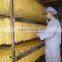 China origin dried bean curd stick tofu stick