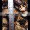 reasonable edible whole shiitake bulk shiitake mushrooms large plastic mushrooms
