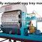 Professional Paper Egg Tray Making Machine Price For 7000pcs/h
