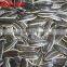 Good Quality sunflower seeds 3939 of Market Price