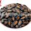 China Origin Watermelon Seed