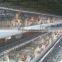 Poultry Farm Cages
