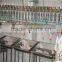 poultry processing equipment