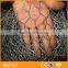 protection Aquaculture Chain Link Fence Roll of fence animals cages