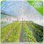 Good quality high tunnel greenhouse