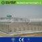 Tomato growing cheap vegetable greenhouse for agriculture