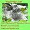 ECO-friendly Nonwoven Banana Cultivating Bag