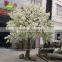 GNW BLS021 Hot artificial cherry blossom tree for wedding