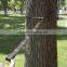 Long Way Hammock Tree Hanging Straps for Sleeping Hammock High strength polyester Heavy Duty