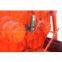 JS500 Concrete Mixer