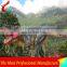 Craft fiberglass dinosaur for amusement park