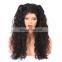 Front lace wig human hair wigs for black women