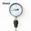 Anti-corrosion 100mm flange hydraulic oil bimetallic thermometer