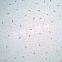 mineral woo ceiling board